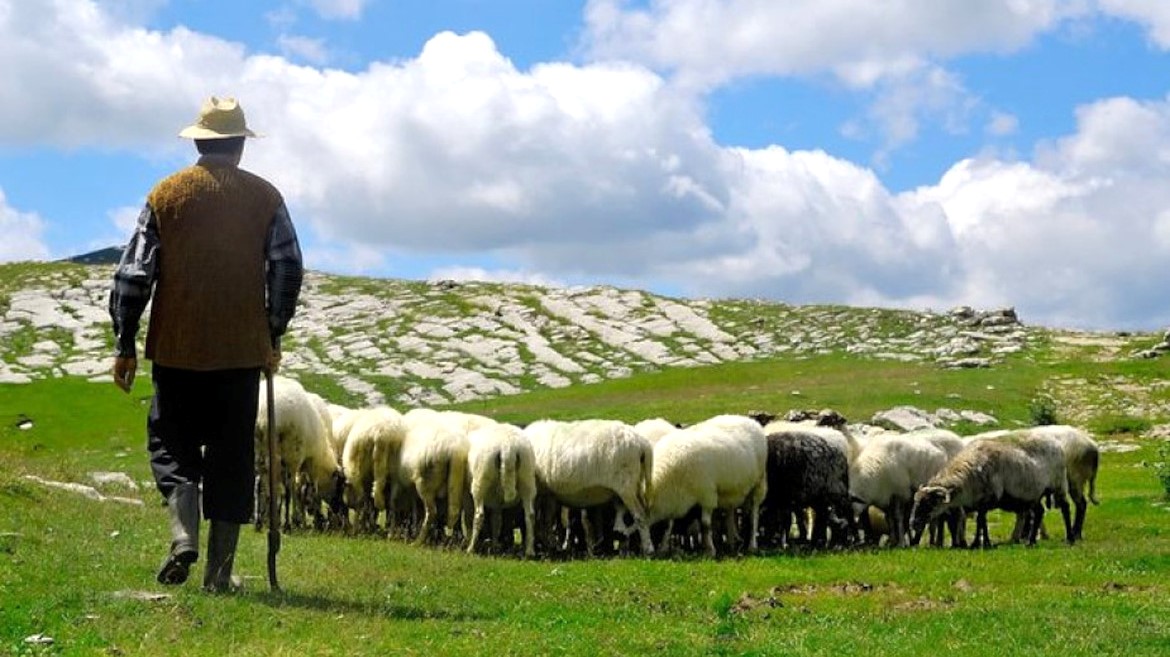 «Conosco le mie pecore e loro conoscono me».