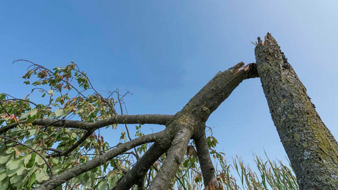 Calma e accettzione in un incidente