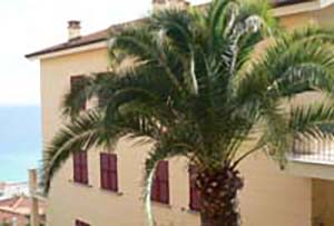 Via degli Ulivi, 30 - Ospedaletti