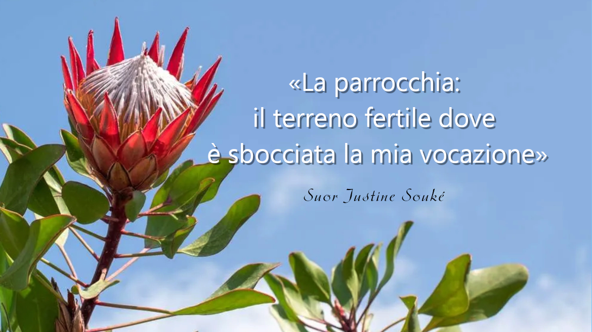 La parrocchia_ il etrreno fertile dove è sbocciata la mia vocazione