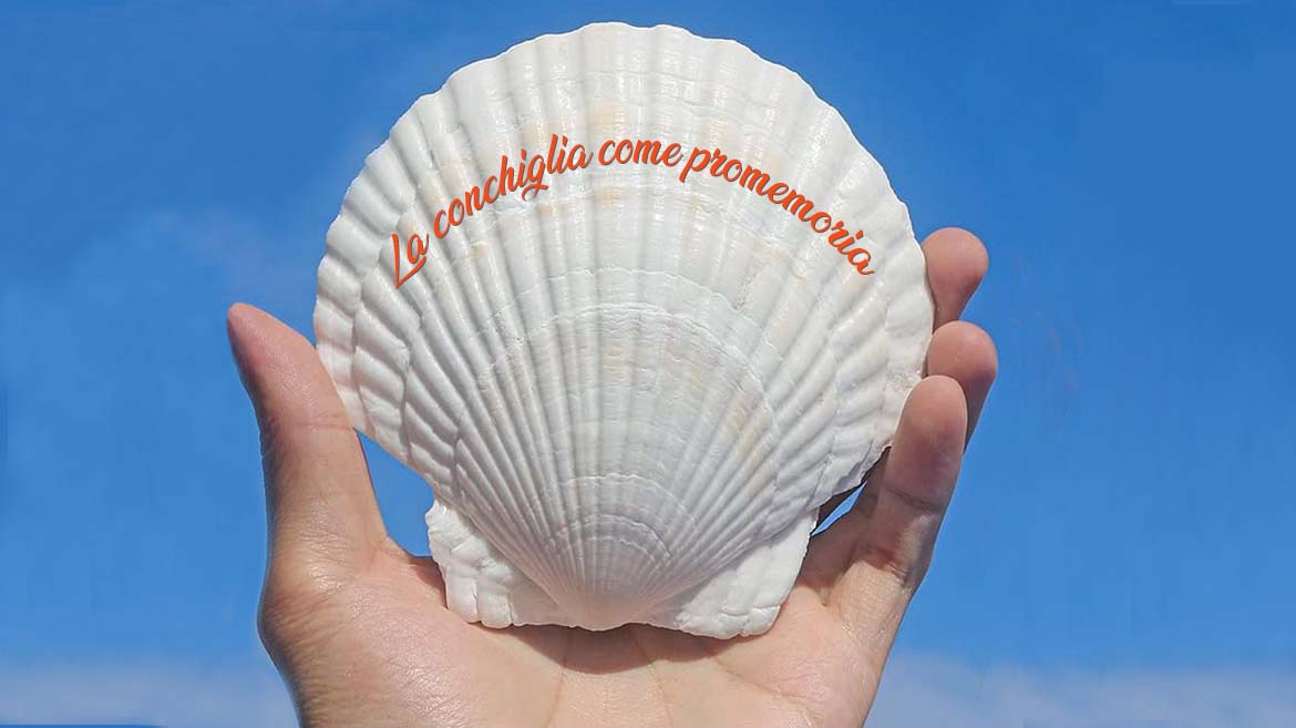 La conchiglia come promemoria