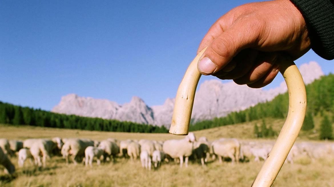 Il Signore, Pastore buono, è con me, mi sostiene con il suo bastone