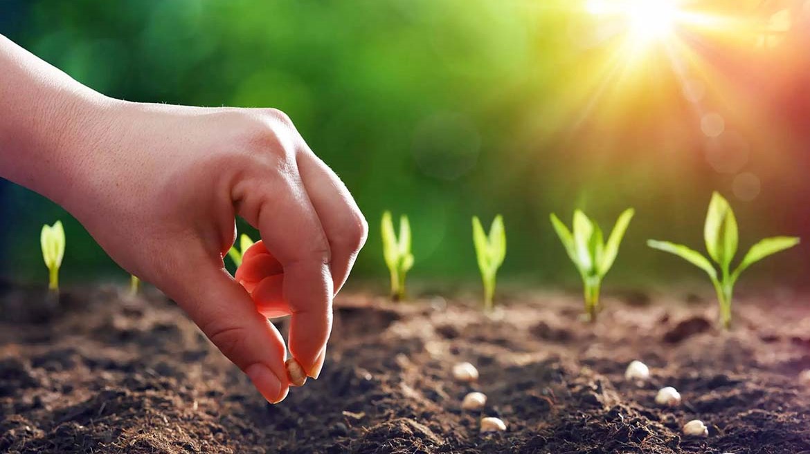 L'agricoltore ha fiducia nel seme che butta nel terreno