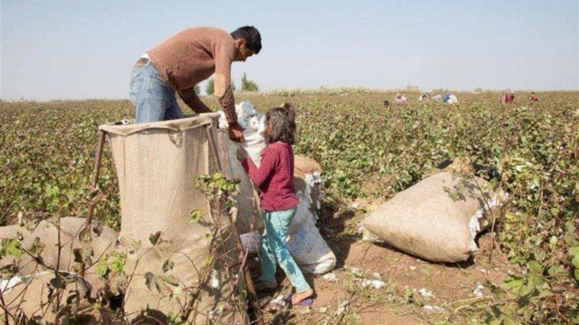 Tra chi sfrutta per ricavarne utili, che poi non condivide e chi subisce.