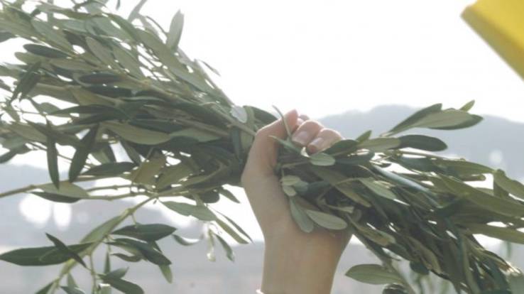 Riflessione e azione   