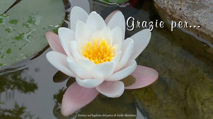 Grazie per…